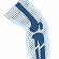 ORTHOPEDIC SURGEON